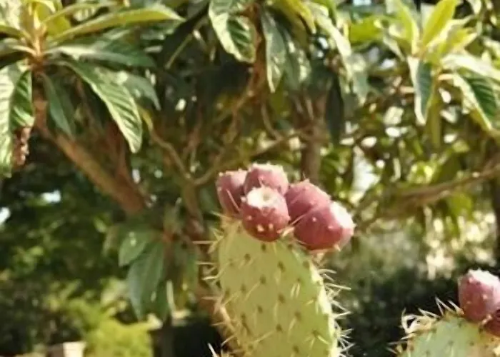 Il Casale Di Mario *